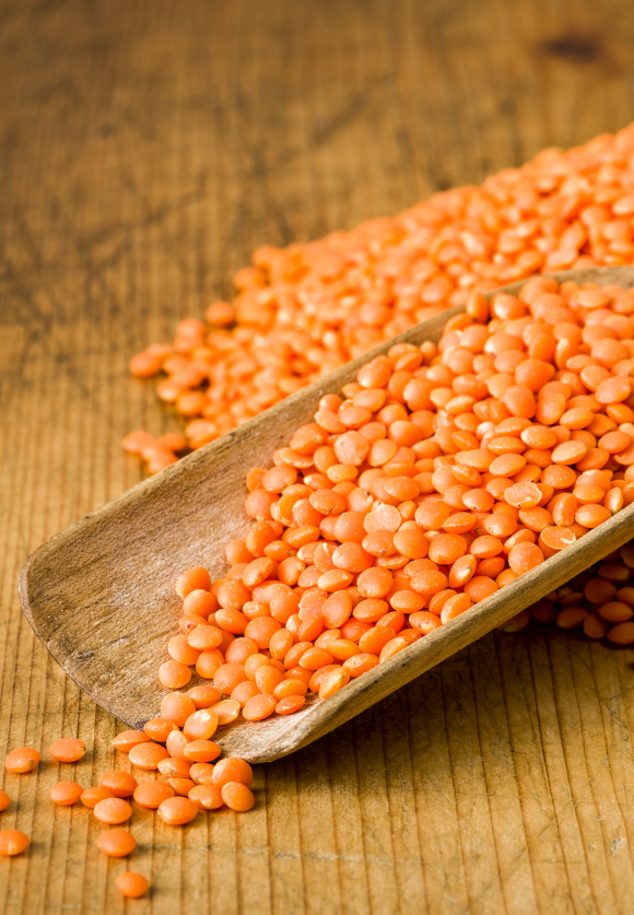 Linte roșie cu bob întreg Linte roșie bob întreg en-gros