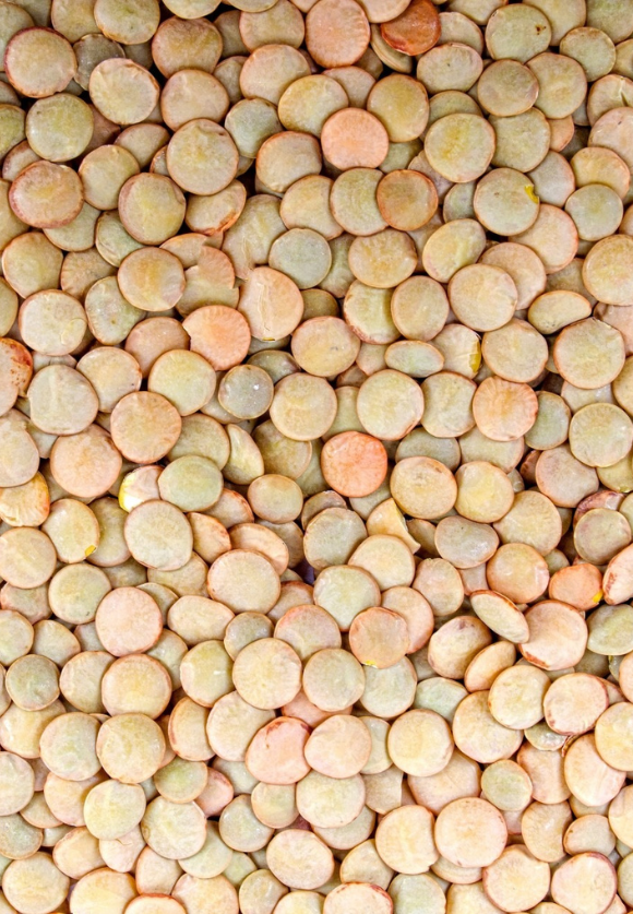 Linte verde Crimson Linte verde Crimson