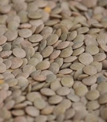 Linte verde Crimson en gros 4-5mm