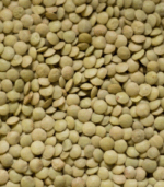 Linte verde Laird en gros