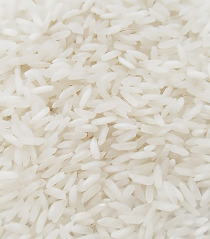 Orez Bob lung en-gros