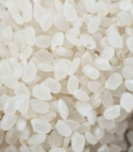 Orez Bob rotund Camolino en-gros