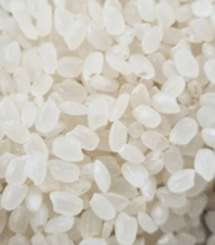 Orez Bob rotund Camolino en-gros