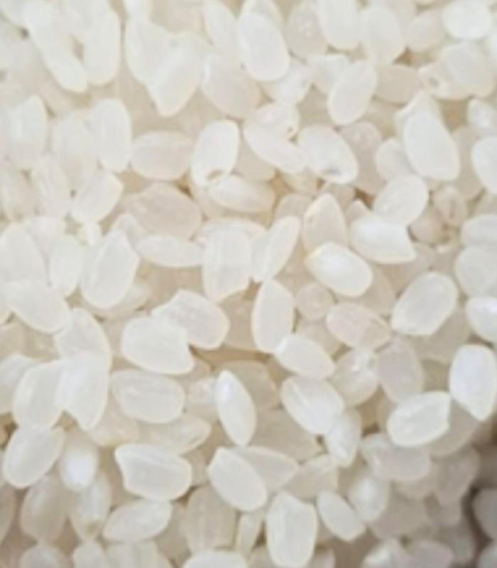 Orez Bob rotund Camolino en-gros