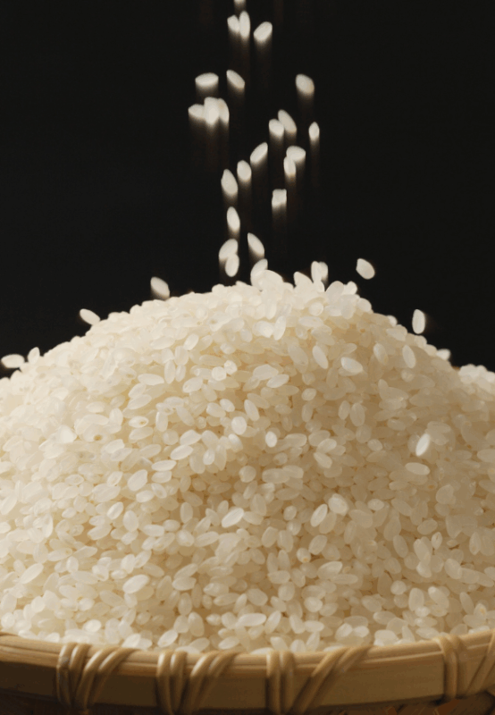 Orez bob rotund Natural