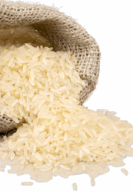 Orez prefiert en-gros
