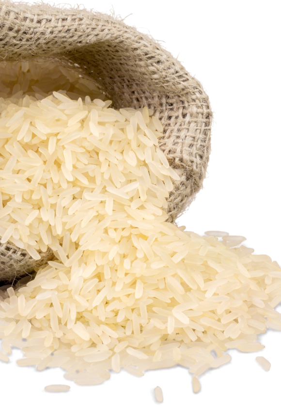 Orez prefiert en-gros Orez prefiert en-gros